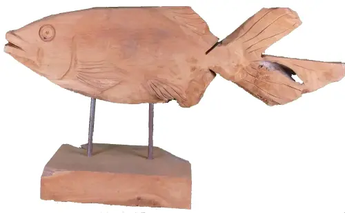 Product image of the product “carved koi wood on stand M made from teak root pieces, 64cm length ”